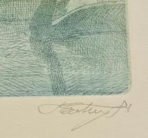 Hartung Sándor (1962- ): Boszorkányok. Színes rézkarc, papír, jelzett,  16,5×15 cm