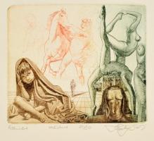 Hartung Sándor (1962- ): Eszmélet. Színes rézkarc, papír, jelzett, 13×16 cm
