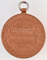 1898. "Jubileumi Emlékérem Fegyveres Erő Számára / Signum memoriae (AVSTR)" Br kitüntetés ...