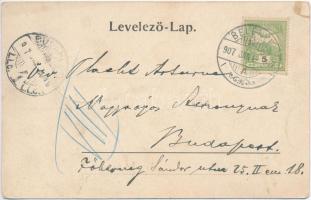 Belényes, Beius; látkép, templom. Matics Ferenc kiadása / general view, church (EK)