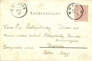 1899 Gurabárza, Barza, Gura-Barza (Brád); Aranybánya zúzómű. Szabó Fivérek fényirdája, Dávid Aladár ...