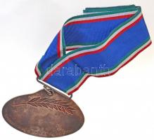 2004. "IAAF World Indoor Championships Budapest (Nemzetközi Atlétikai Szövetség - Fedettpályás ...