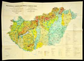 Magyarország geomorfológiai térképe, szerk.: Pécsi Márton, 1:500000, MTA FKI - Kartográfiai Vállalat, 80×116 cm