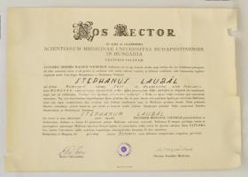 1961 Budapesti Orvostudományi Egyetemi orvosi diploma, hátoldalán okmánybélyegekkel, hengerben, szélén kis szakadásokkal, 34,5x50 cm