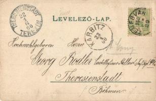 1900 Temesvár, Timisoara; postás hölgy / postman lady. photo (EK)