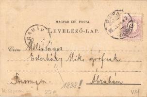 1898 Pápa, Irgalmas nővérek zárdája, dohánygyár, floral, Art Nouveau. Gróf Esterházy Miklósnak címze...