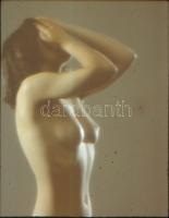 Aktok, 4 db diapozitív, 5x5 cm