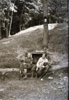 cca 1930-1940 Magyarországi tájak (Mátra, Pomáz, Bakony, stb.), 34 db fotónegatív, feliratozott borí...