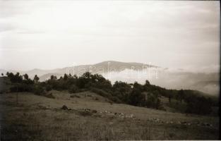 cca 1930-1940 Magyarországi tájak (Mátra, Pomáz, Bakony, stb.), 34 db fotónegatív, feliratozott borí...