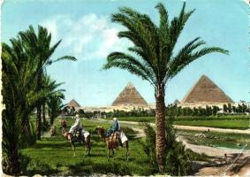 6 db MODERN tengerentúli érdekesebb képeslap, elefántok, tevék, piramisok / 6 modern interesting pos...