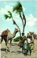 6 db MODERN tengerentúli érdekesebb képeslap, elefántok, tevék, piramisok / 6 modern interesting pos...