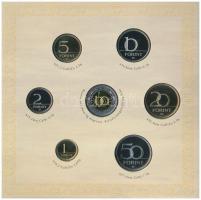 2008. 1Ft-100Ft (7xklf) "Búcsú az egy- és kétforintostól" forgalmi sor dísztokos szettben ...