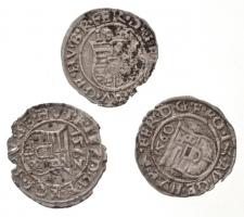 1560K-B Denár Ag (0,34g) + 1562K-B Denár Ag (0,39g) + 1563K-B Denár Ag "I. Ferdinánd" (0,4...