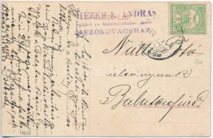 Bácsbokod, Borsodi kastély. W. L. 1954. (EK)