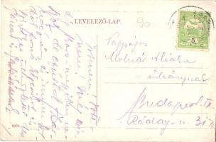 Zsarnóca, Zarnovica; Kincstári kastély (Dóczy várkastély). W. L. Bp. 355. / castle (EK)