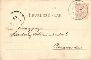 1899 Csízfürdő, Kúpele Ciz; Nedeczky-telep, villa, Vendéglő, Fürdőház, lakházak, pavilon. Fogel Mór,...