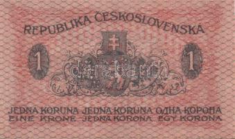 Csehszlovákia 1919. 1K (2x) 2klf színnyomat T:I