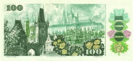Csehszlovákia 1989. 100K (2x) egyiken a sorszám elcsúszva! T:I