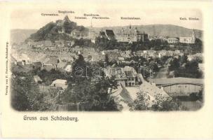 Segesvár, Schassburg, Sighisoara; látkép templomokkal és iskolákkal /  panorama view with churches and schools