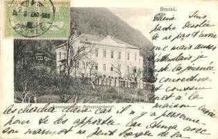 Brassó, Kronstadt, Brasov; Villa kastély a Csigahegyen / Sommerfrische Schneckenberg / villa castle in Dealul Melcilor, TCV card (EK)