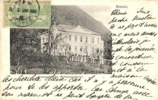 Brassó, Kronstadt, Brasov; Villa kastély a  Csigahegyen / Sommerfrische Schneckenberg / villa castle in Dealul Melcilor, TCV card  (EK)