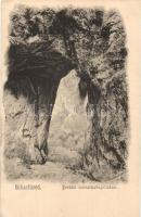 Biharfüred, Stina de Vale; Portale Leviathanopolisban / Csodavár sziklakapuja / rock gate of the Cetatile Ponorului cave (Leviathanopolis) (EK)