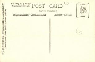 Szebenjuharos, Hohe Rinne, Paltinis; Karpathen Verein gyógyháza, üdülőházak / spa villas. Fot. Orig....