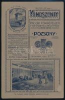 cca 1910 Hölgyek, keményhátú fotó Mindszenty pozsonyi műterméből, 16,5×11 cm