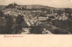 Segesvár, Schassburg, Sighisoara; látkép / general view (felületi sérülés / surface damage)