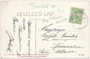 Nagyszentmiklós, Sannicolau Mare; Gróf Nákó Sándor kastély. W. L. Bp. 2111. Kiadja Wiener Náthán / c...