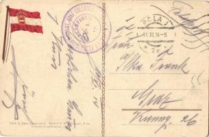 SMS Torpedobootzerstörer / K.u.K. Kriegsmarine torpedo boat destroyer. phot. A. Beer, Pola 1913. Lit...