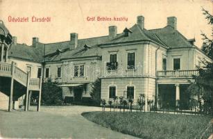 Élesd, Alesd; Gróf Bethlen kastély. W. L. 288. Kiadja Sándor Mór / castle (EK)