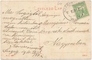 Szászsebes, Mühlbach, Sebes; M. kir. Erdőhivatal. W. L. 1662. / K. ung. Forstamt / forestry office (...