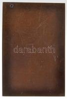 Csillag István (1881-1968) 1907. "Tóth Béla" Br plakett (75x50mm) T:2,2-