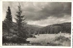 4 db RÉGI erdélyi városképes lap;Nagyvárad, Tusnádfürdő, Hargita-fürdő, Szent Anna tó / 4 pre-1945 T...