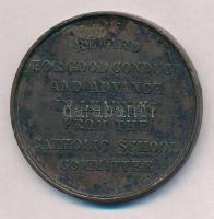 ~1900. "Katolikus Iskola Bizottság Díja" Br emlékérem (47mm) T:2 ph.
~1900. "Catholi...