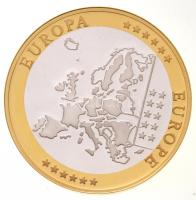~2002. "Emlékérem az euróövezet országainak közös valutájáról - Németország" aranyozott, e...