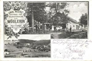 Sulz-Stangau, Carl Hechls Gasthaus und Touristenheim zur Wöglerin / Carl Hechl's inn and tourist home, restaurant. F. Nugent floral Art Nouveau (EK)