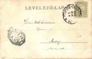 1903 Vajdahunyad, Hunedoara; vár, Sebeshely, Fürdő-Gyógy (Feredőgyógy) / castle, Geoagiu-Bai, Sebese...