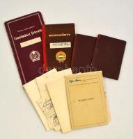 cca 1960-1980 Vegyes igazolvány tétel, összesen 9 db, személyi igazolvány, munkakönyv, tanulmányi értesítő