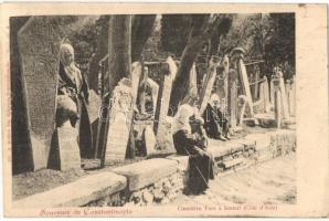 Constantinople, Istanbul; Cimetiere Turc a Scutari (Cote dAsie) / Turkish cemetery in Scutari (Asian coast), tombs. A. Zellich (EK)