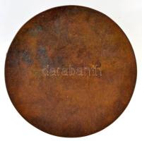 1931. "Demény Károly örökös vándordíj emlékérem" Br emlékérem (60mm) T:2