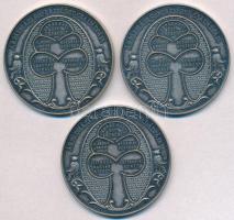2007. "Árpád-házi Szent Erzsébet emlékév 2007" ezüstözött Br emlékérem (3x) (48mm) T:2,2-
