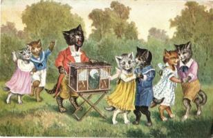 Cats dancing to music in the garden. s: Arthur Thiele (EK)