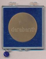 Borsos Miklós (1906-1990) 1948. "A Budapesti Bencés Gimnázium 1923-1948 emlékére" Br emlék...