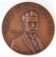 Törzsök Károly (1906-1964) 1935. Dr Sipőcz Jenő 1920-1935 / Fővárosi Alkalmazottak Nemzeti Szövetsége Br emlékérem (61mm) T:2