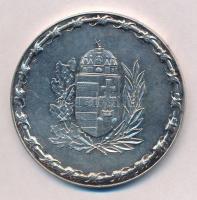 DN "A Magyar Köztársaság honvédelmi miniszterétől" fém emlékérem (60mm) T:1-,2 felületi ka...