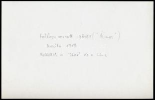 Az Álmos felfegyverzett gőzös Brăila-ban, a Dunai Flottila hajója 1918-ban, az 1980-as években erede...