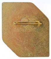 1984. "XII. Motoros Műrepülő Világbajnokság Békéscsaba" zománcozott fém jelvény (40x60mm) ...