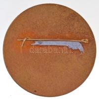 DN "Escort Team Hungary" zománcozott fém jelvény (45mm) T:2